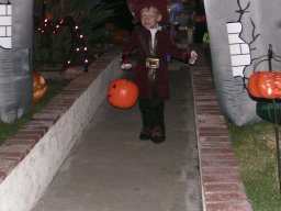 2010 Pumpkin Patch